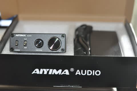 サブウーハーアンプ「A1001」AIYIMA - うどんやラーメンなどの