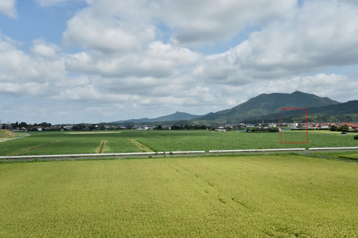 単焦点広角レンズ、Ai Nikkor 35mm F2をオーバーホールしました 単焦点広角レンズ、Ai Nikkor 35mm F2をオーバーホールしました