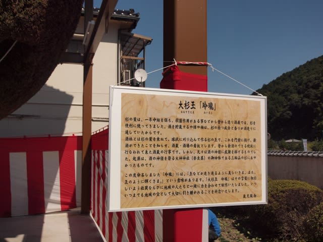 つくりたて杉玉 吉野杉 20センチ 屋根付き