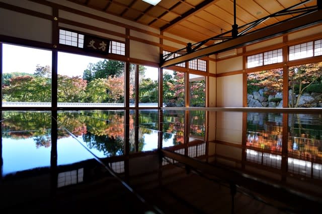 宝徳寺「床もみじ特別公開」 - 福乃丸おじさんの遠足