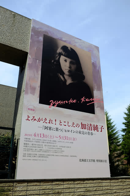 よみがえれ！とこしえの加清純子 ２冊セット 北海道立文学館 よみがえれ とこしえの 加清純子 再び - メルカリ
