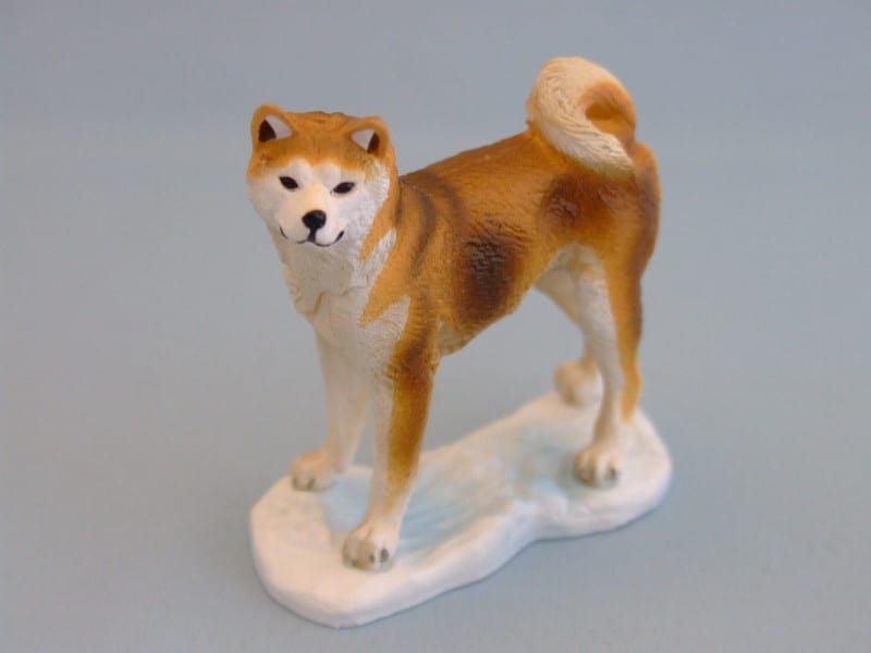 日本の犬 | 株式会社誠文堂新光社