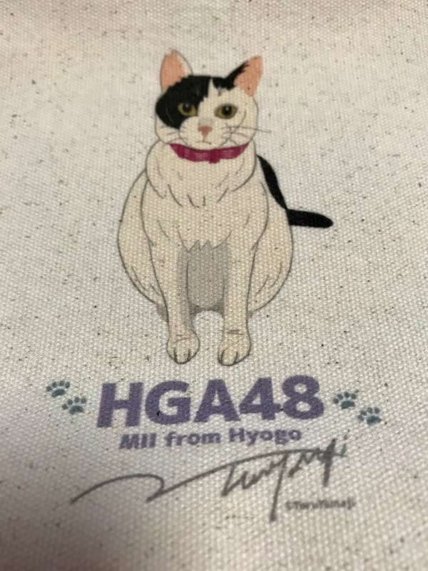 HGA48プロデューサー、山路徹ニャンオリジナル作品♡保護猫ミィちゃん