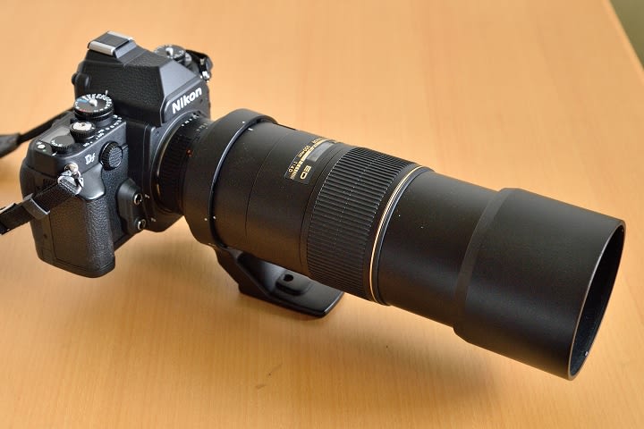 Nikkor 300mm f/4D