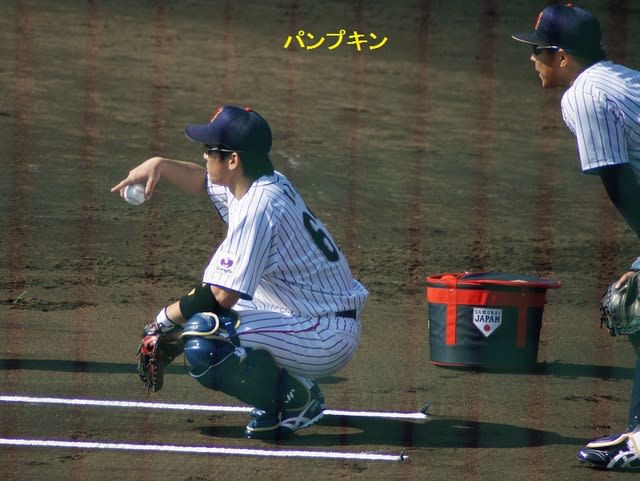 Amazon.co.jp: [XUPENG] 甲斐 拓也 かい たくや カイ タクヤ