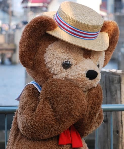 東京ディズニーシー ダッフィー シェリーメイ ぬいぐるみバッジ
