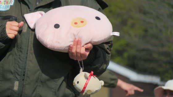 ぬいぐるみ マザー牧場 こぶたのレース ブタさんマスコット 羨ましい