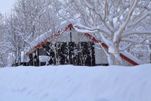 雪の降る朝の赤