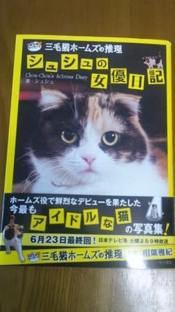 Amazon.co.jp: 赤川次郎の三毛猫ホームズシリーズ [DVD] : 石立