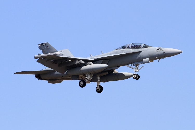 米海軍 EA-18G VAQ-141 「 SHADOWHAWKS 」 （ NF-500/NF-505