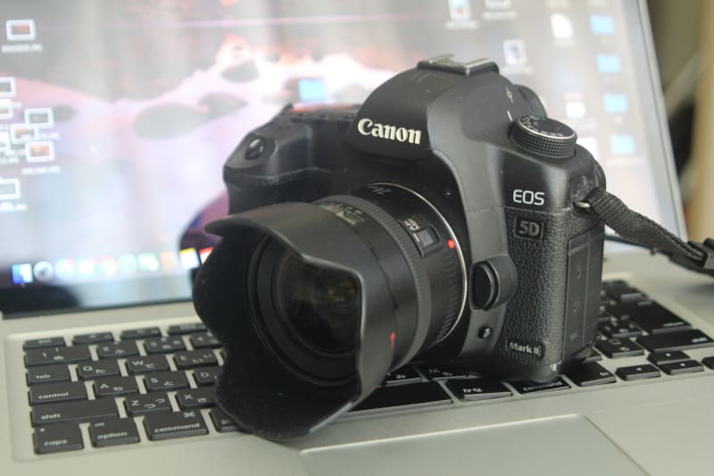 Canon EF 24mm F2.8 レンズ - はとはんのブログ Canon EF 24mm F2.8 レンズ - はとはんのブログ