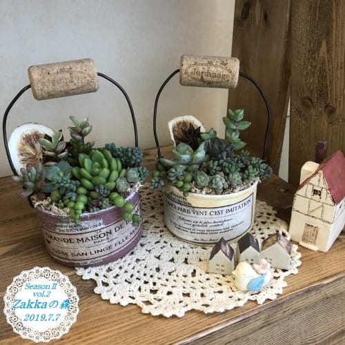 リメイク缶の多肉アレンジメント - 1Day Shop *Zakkaの森*