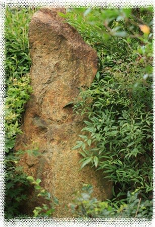 蹲踞（つくばい）など その2 - 私の写真日記