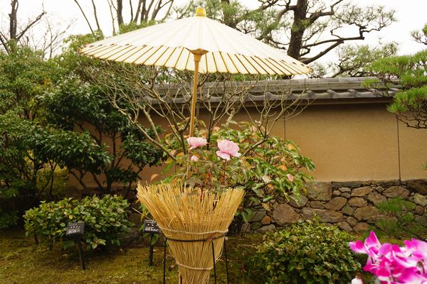 セブンイレブン 冬ギフト 2025 藁帽子（わらぼっち）と冬ぼたん 2017 筥崎宮花庭園 ～ 絵画