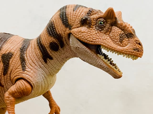 THE LOST WORLD / JURASSIC PARK(KENNER) - MY COLLECTIONS THE LOST WORLD / JURASSIC PARK(KENNER) - MY COLLECTIONS