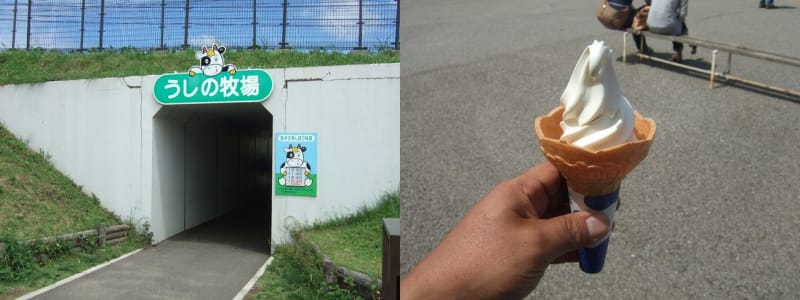 ハローキティ 根付けストラップ マザー牧場 ソフトクリーム