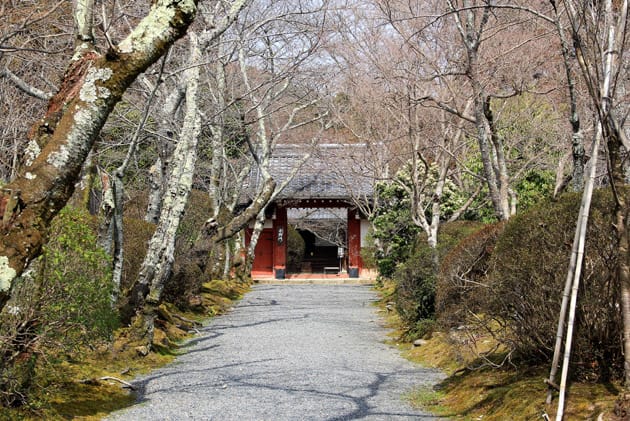 鷹峯常照寺は名妓吉野太夫縁のお寺です。 - 土曜日は古寺を歩こう。