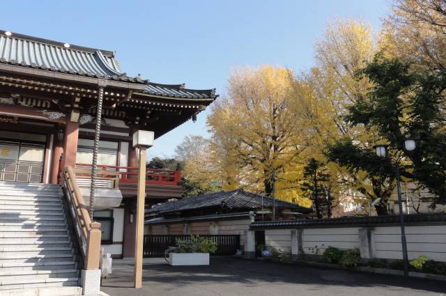 正岡子規めぐり 8 子規の両親と妹 - NJの山花旅 正岡子規めぐり 8 子規の両親と妹 - NJの山花旅