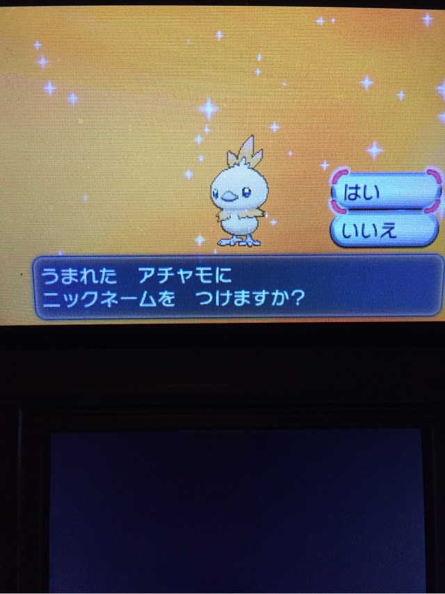 いろちがい アチャモ 2回目 進化分 やま うみ
