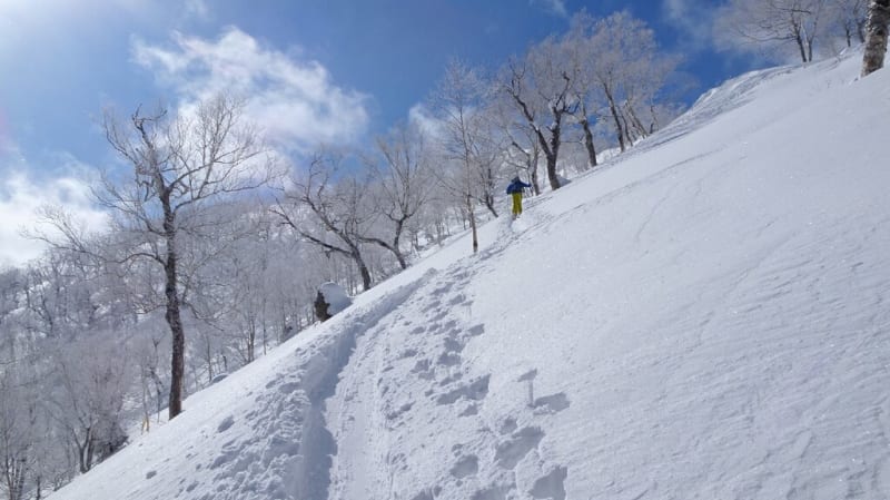タケノコ山（山スキー）