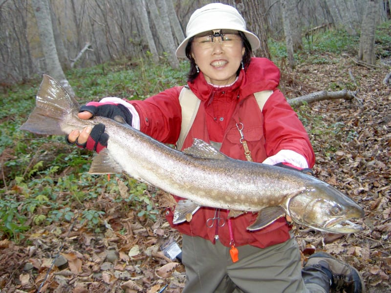 70cm級、およびそれ以上,巨大アメマスとの格闘 その六 70cm級、およびそれ以上,巨大アメマスとの格闘 その六
