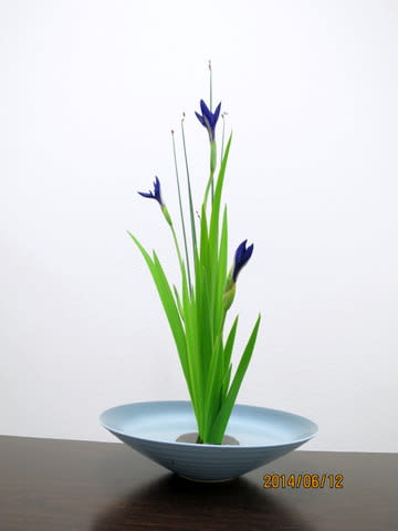 立花 を生けられるのは 花屋さんのお蔭が多い 池坊 花のあけちゃんブログ明田眞子 花の力は素晴らしい 広島で４５年 池坊いけばな教室 熱心な方々と楽しく生けてます