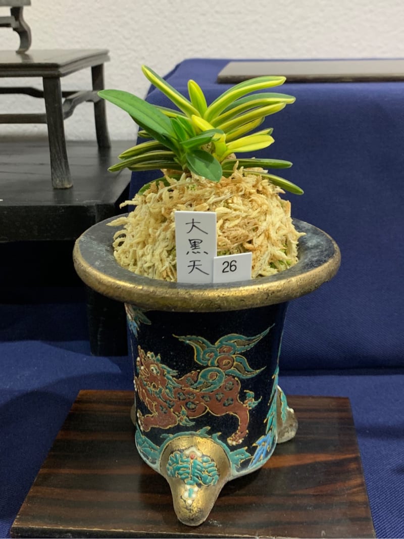 4人展 いよいよ 明日までとなりました 本日は 午後14時過ぎに