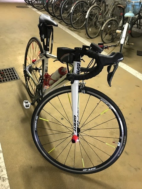 ＧＩＡＮＴ ＴＣＲ１ - それさえもおそらくは平穏な日々 ｂｙガーランド