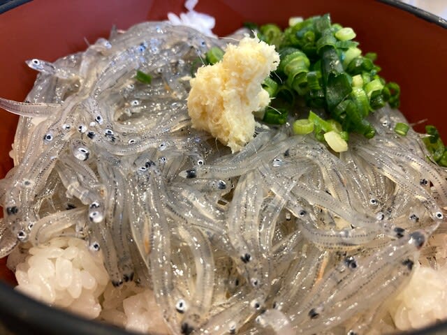 まるごと駿河湾「生しらす丼」2025 / Raw whitebait bowl @Shin