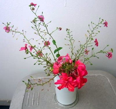 赤い花、ゼラニウムなど - Niwa niha Hana (庭には花) 赤い花、ゼラニウムなど - Niwa niha Hana (庭には花)