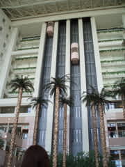 横山輝一　CFS TOUR IN OKINAWA & HOKKAIDO 横山輝一 CFS tour in Hokkaido レポ（完成版？） - のほのほ日記