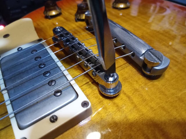 ◇ Freedom Custom Guitar ( フリーダムカスタムギターリサーチ ) / SP 