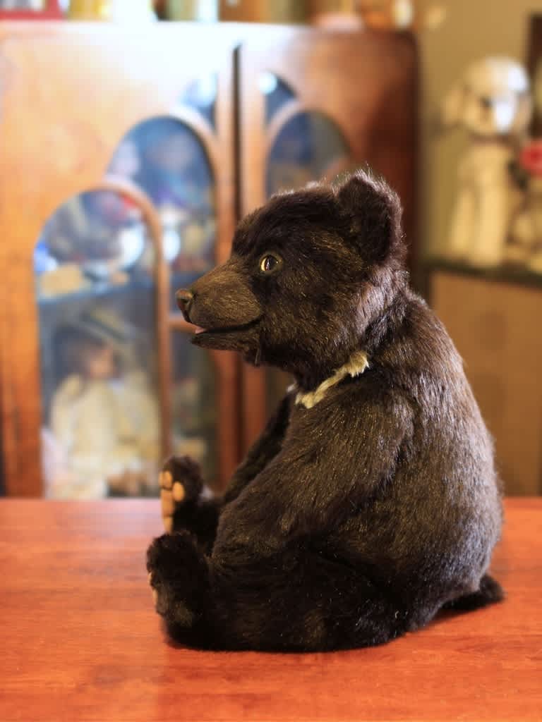 ポシェットを下げた子供なツキノワグマさん ツキノワグマ くつろぎのひと時 水場センサーカメラによる静止画