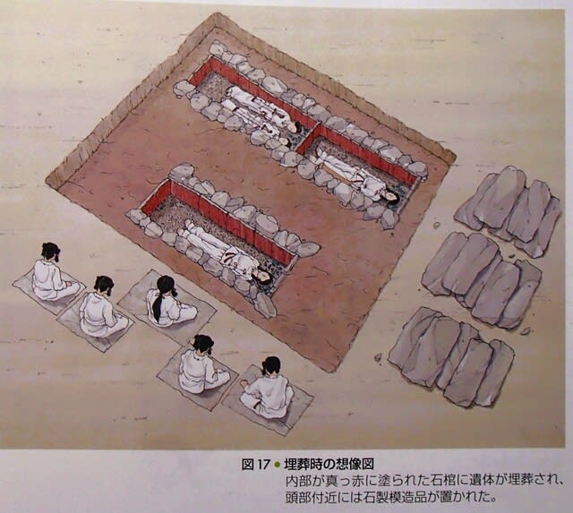 砂入遺跡 〔本文編〕〔図版編〕〔写真図版編〕