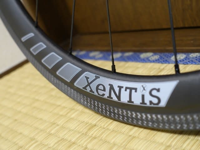 XeNTiSがやってきた - 多摩川サイクリングロードの車窓から XeNTiSがやってきた - 多摩川サイクリングロードの車窓から