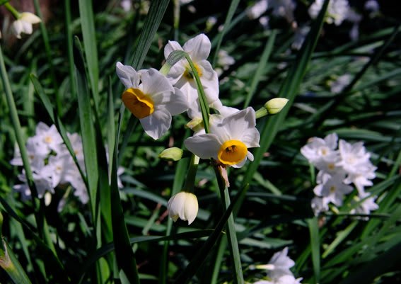 中判(645)カメラFujifilm GFX50Sにペンタックス中判(645)レンズ 中判(645)カメラFujifilm GFX50Sにペンタックス中判(645)レンズ