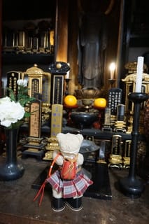 幕末に生まれた剣聖 内藤髙治先生の菩提寺「金戒光明寺」の塔頭 幕末に生まれた剣聖 内藤髙治先生の菩提寺「金戒光明寺」の塔頭