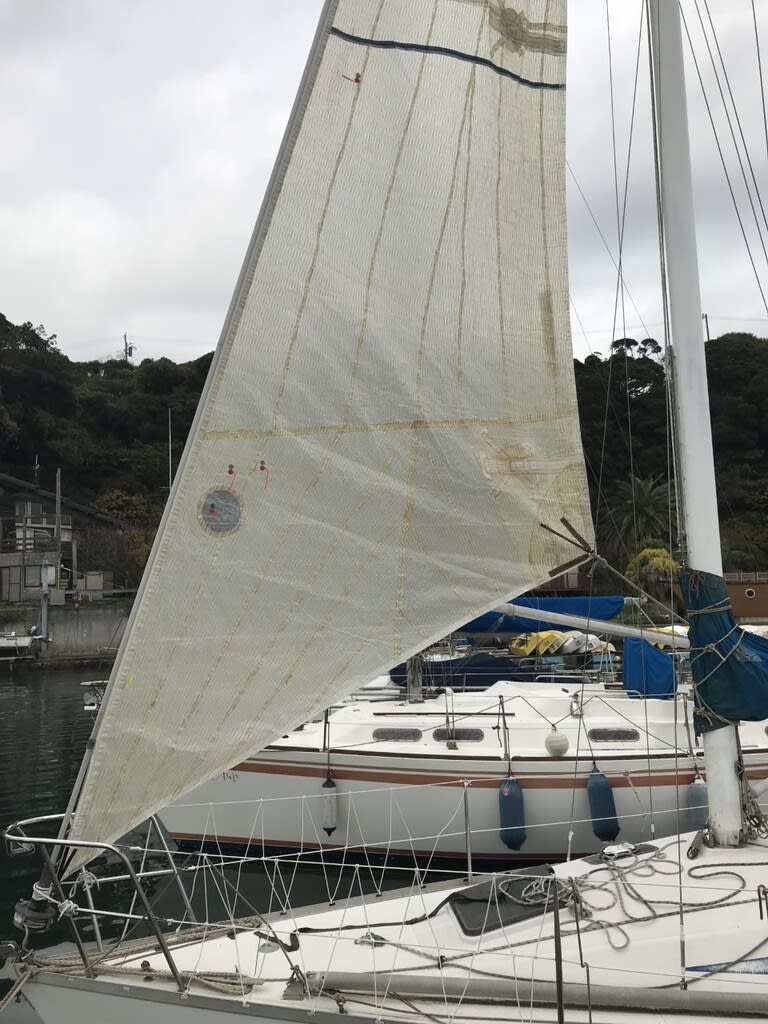 ハイカットワーキングジブ - マハロ船長の航海日誌2 ハイカットワーキングジブ - マハロ船長の航海日誌2