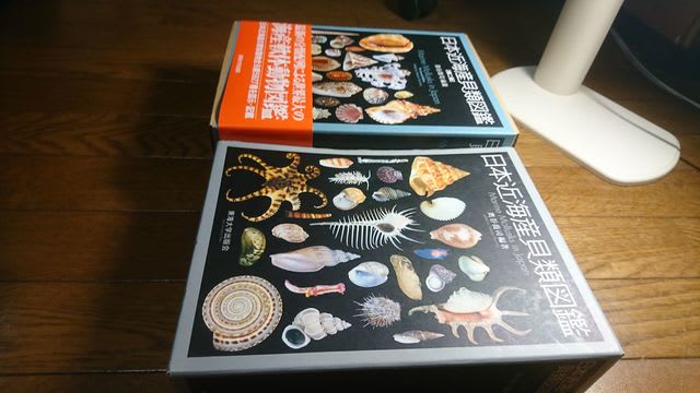日本近海産貝類図鑑 第二版 - きいこのビーチコーミング日記