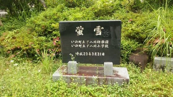 【WEB限定】 - 下八川小学校 吾北村 皇紀二千七百年党 廣田晋一郎 代表 人文+社会