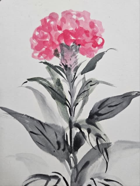 墨彩画で描く「鶏頭」 - 水墨画・墨彩画家 岡田潤のあッこりゃ 墨彩画で描く「鶏頭」 - 水墨画・墨彩画家 岡田潤のあッこりゃ
