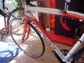 WILIER ウィリエール ロードバイク 2012 モンテグラッパ 春 プロ WILIER ウィリエール ロードバイク 2012 モンテグラッパ 春 プロ