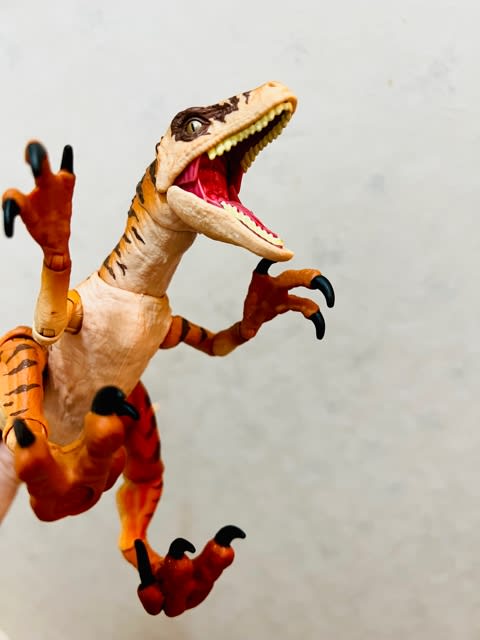 JURASSIC PARK（MATTEL）AMBER COLLECTION - MY COLLECTIONS