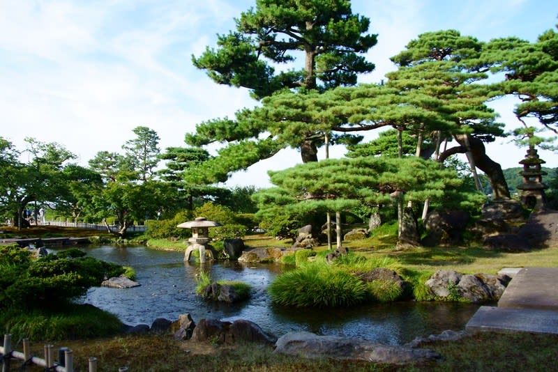 ○8月の兼六園 瓢池 日本武尊とお花松 唐崎松 霞が池 徽軫灯籠
