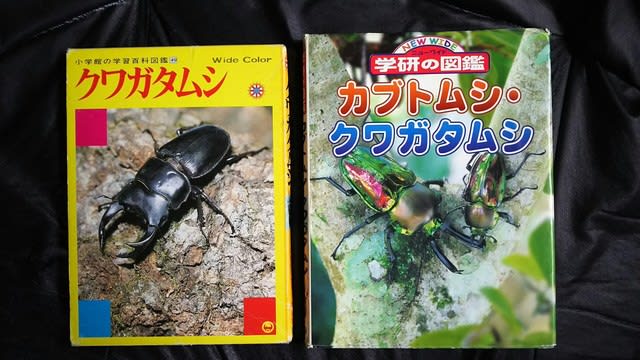 クワガタ関連の書物 - クワガタ~スズメバチ等の覚書 クワガタ関連の書物 - クワガタ~スズメバチ等の覚書