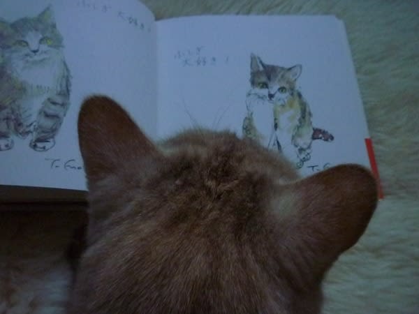 榎木孝明さん 「猫のくすっ」 - 球ちゃんとの ひねもすブログ 榎木孝明さん 「猫のくすっ」 - 球ちゃんとの ひねもすブログ