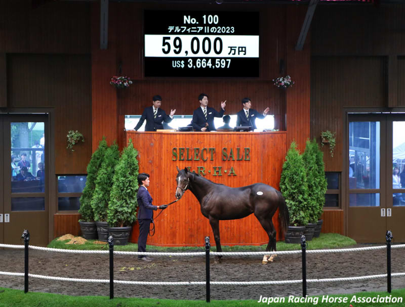 セレクトセール2012上場馬
