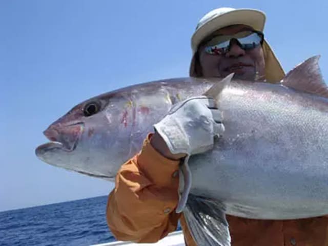 Mc Works Southern blue SB 516SS Akabara Special jigging Rod Mc Works Southern blue SB 516SS Akabara Special jigging Rod
