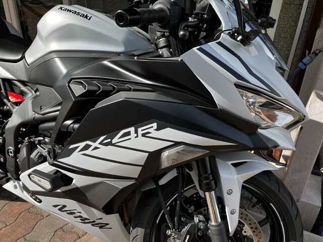 バイクパーツ ゲイルスピード R 600-17 グロスBLK [TYPE-J