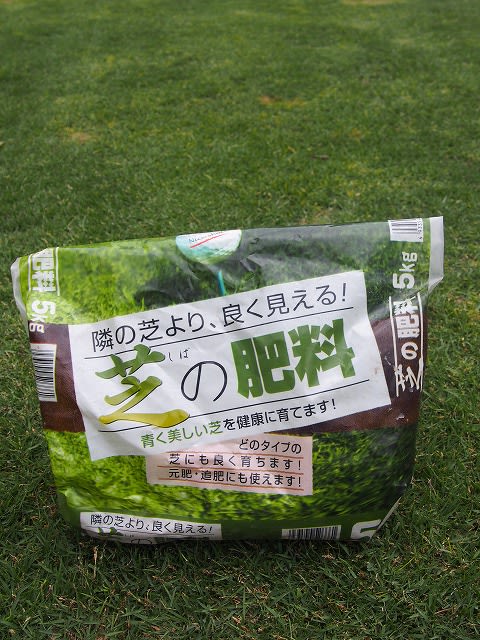 高麗芝ｔｍ９の花穂 Olive Gardening過去ログ倉庫